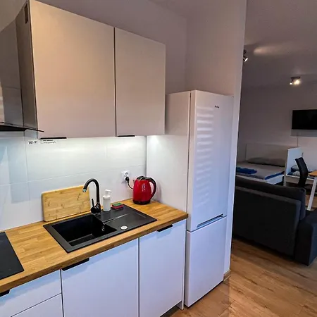 דירה Centrum „ice Cat” *