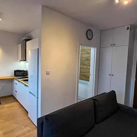 Апартаменти Centrum „ice Cat” Люблін