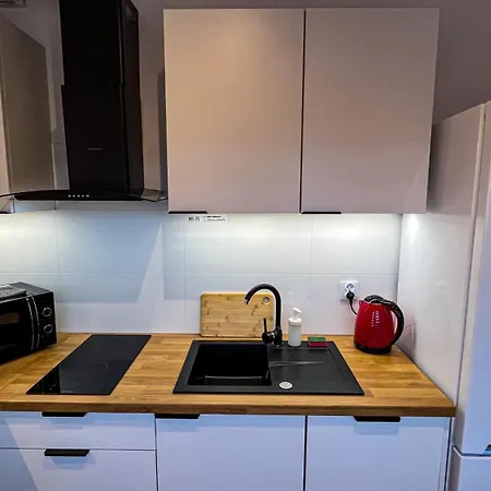 Centrum „ice Cat” לובלין