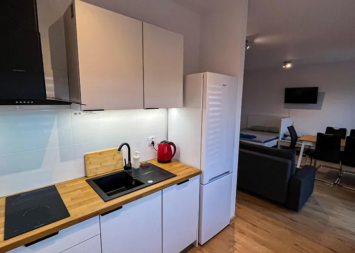 Apartament Centrum „ice Cat” *