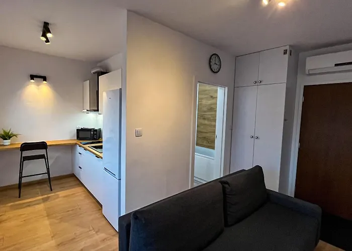 Apartment Centrum „ice Cat” Lublin