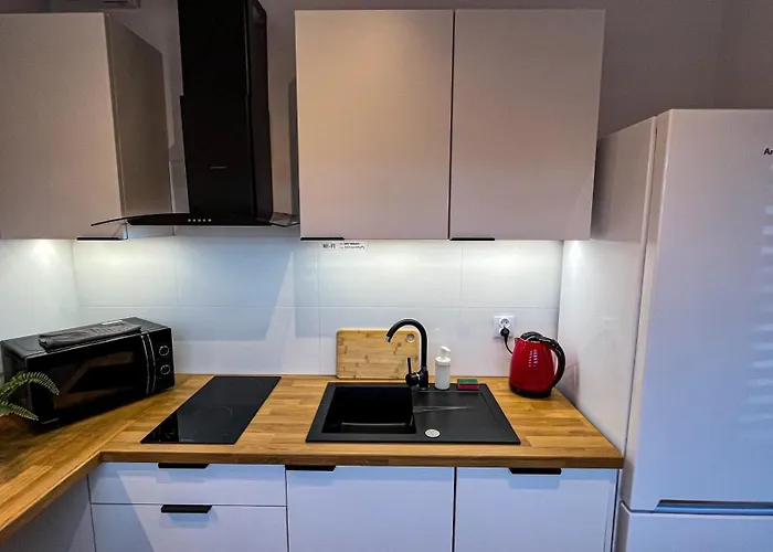 Centrum „ice Cat” Lublin