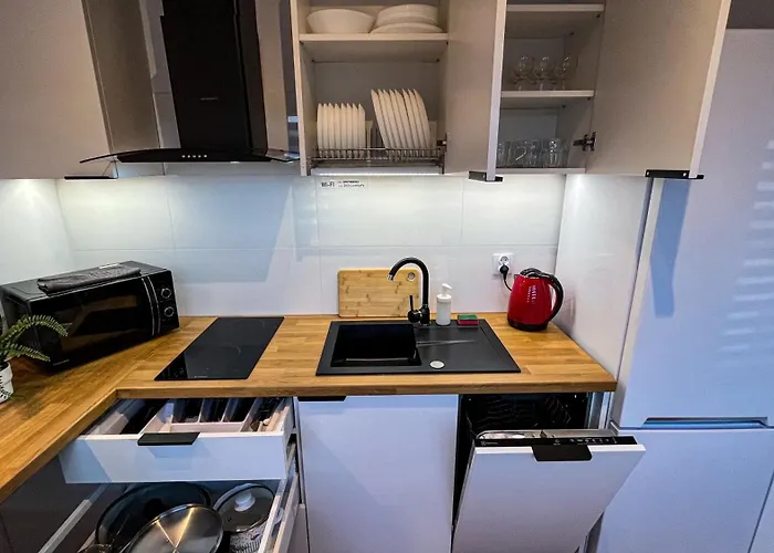 Centrum „ice Cat”